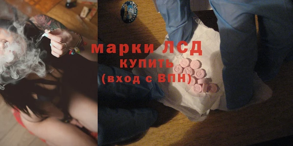 сатива Протвино