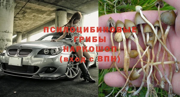дурь Абдулино